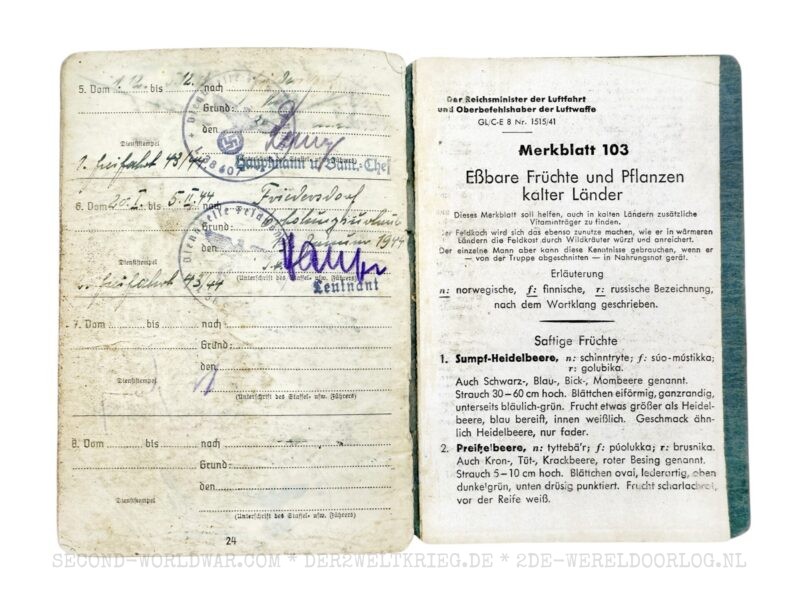 Luftwaffe Soldbuch Offizier FLAK und Nebelkompanie – Bild 16
